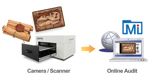 Microtek Scanner and Scanner Software Test